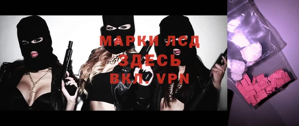 индика Лабытнанги