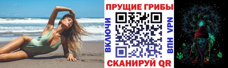 Галлюциногенные грибы GOLDEN TEACHER  Невинномысск 
