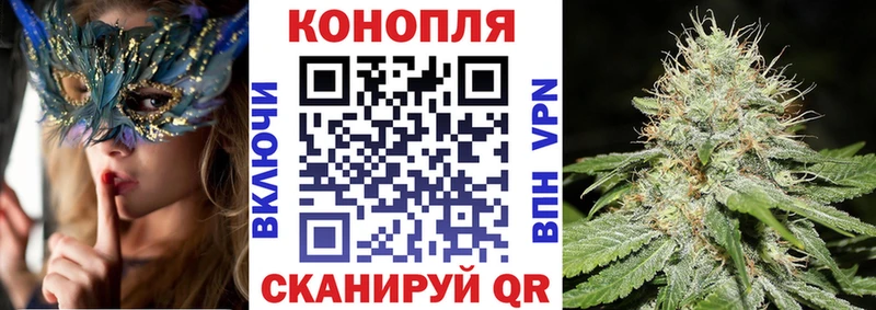 Каннабис семена  Невинномысск 